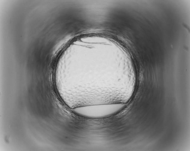 X0000099321406200805301206