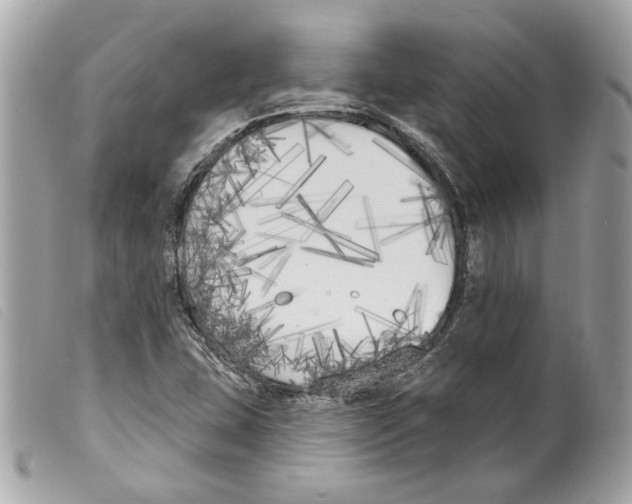 X0000099321407200805301206