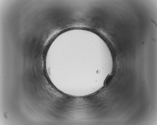 X0000099321408200805301206