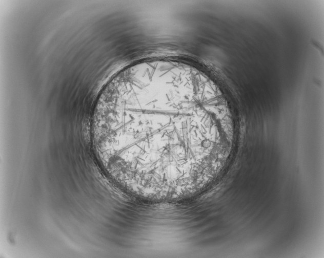 X0000099321409200805301206