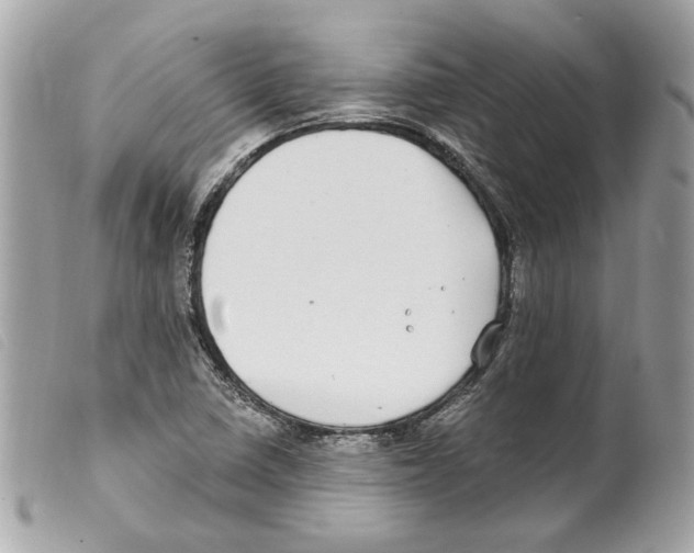 X0000099321410200805301206