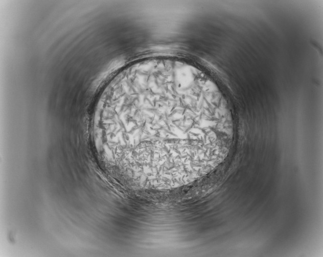 X0000099321411200805301206