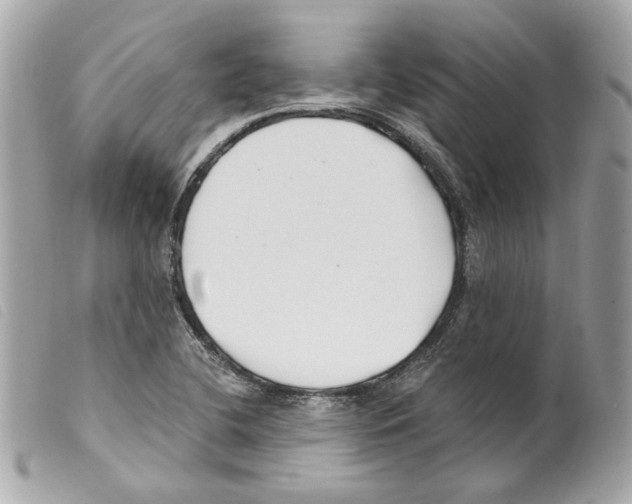 X0000099321412200805301206