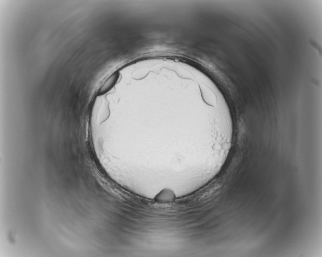 X0000099321413200805301206