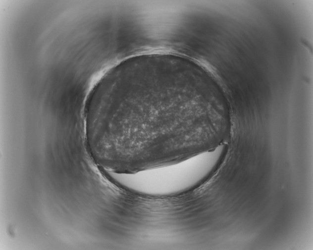 X0000099321414200805301206