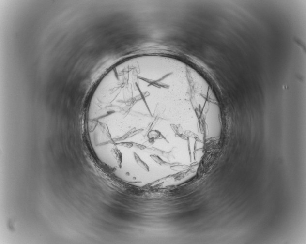 X0000099321415200805301206