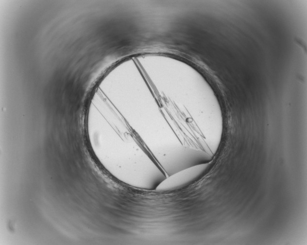 X0000099321416200805301206