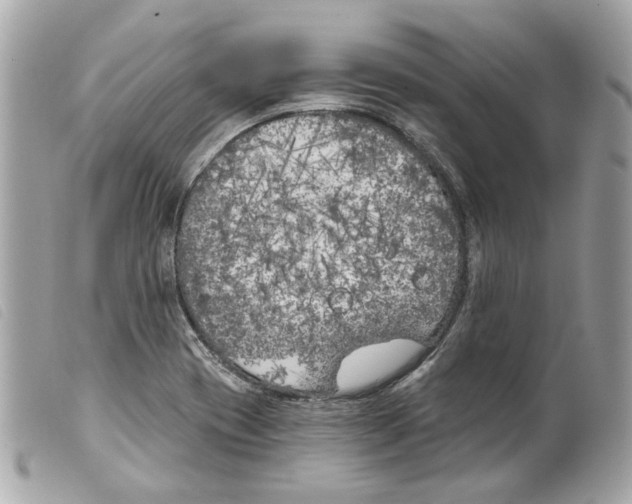 X0000099321417200805301206