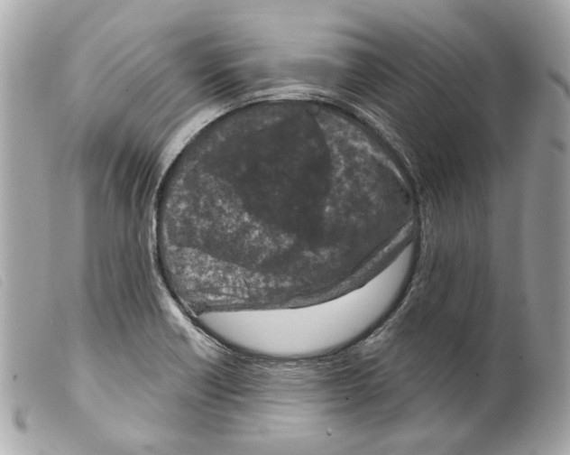 X0000099321418200805301206