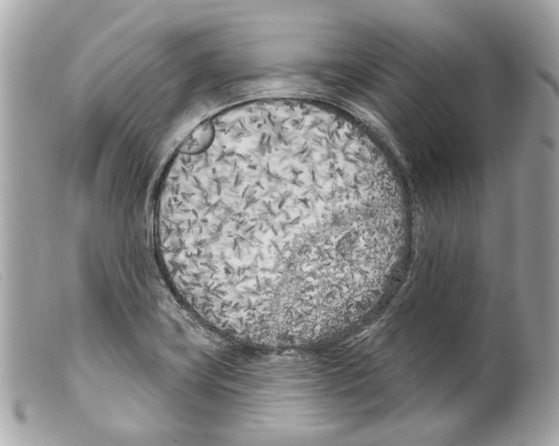 X0000099321419200805301206