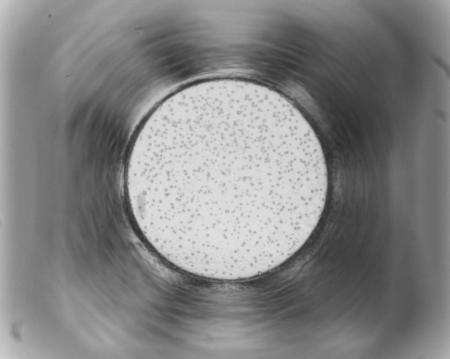 X0000099321420200805301206