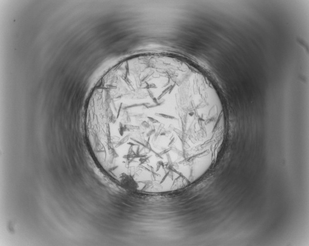 X0000099321421200805301206