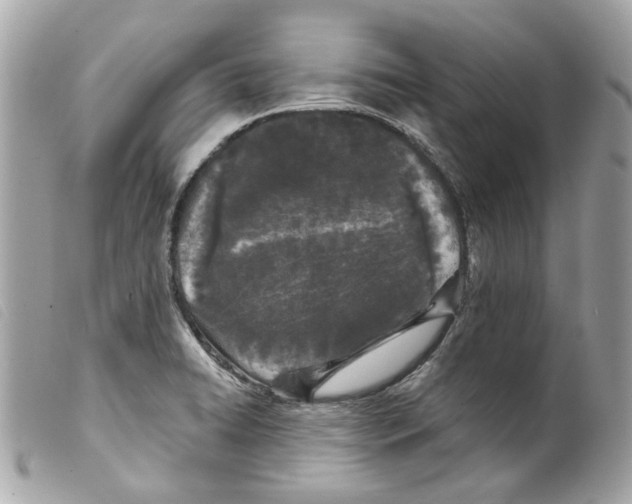 X0000099321422200805301206