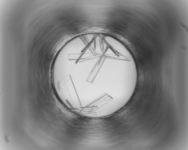 X0000099321423200805301206