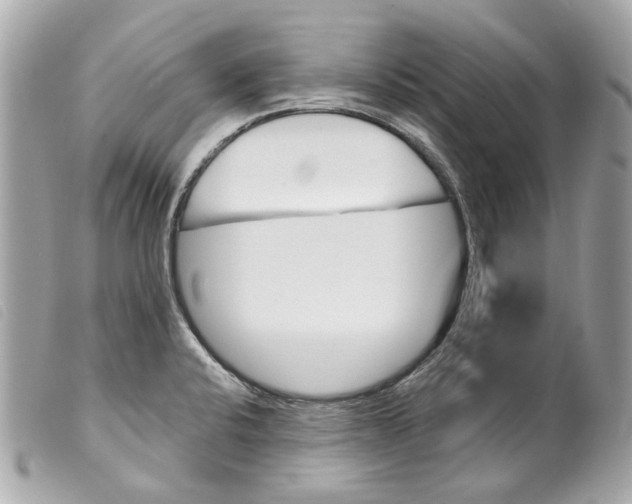 X0000099321424200805301206