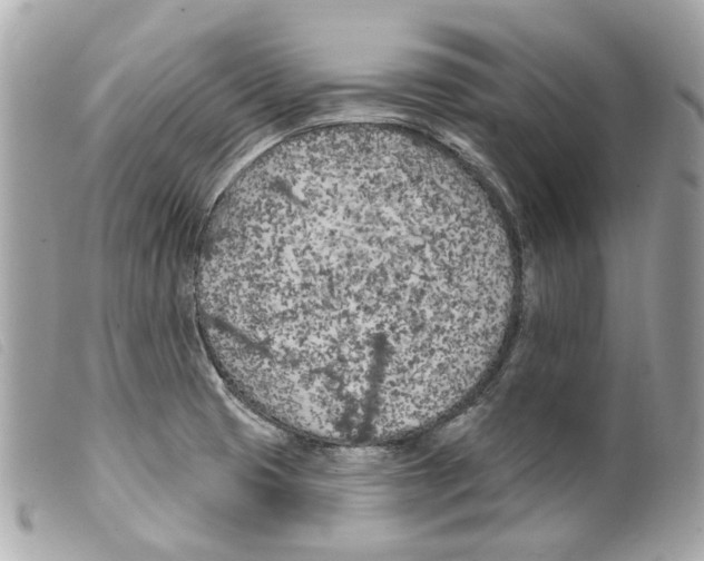 X0000099321425200805301206