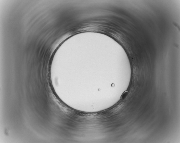 X0000099321426200805301206