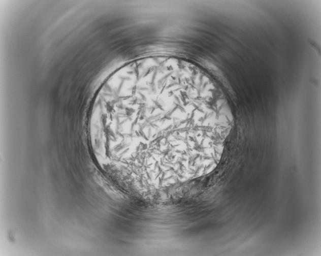 X0000099321427200805301206