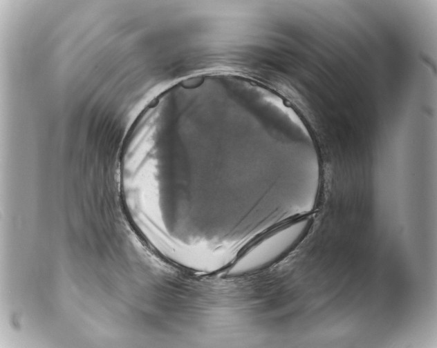 X0000099321428200805301206