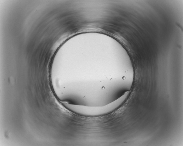 X0000099321430200805301206