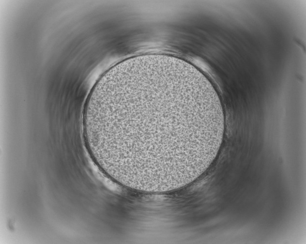 X0000099321431200805301206