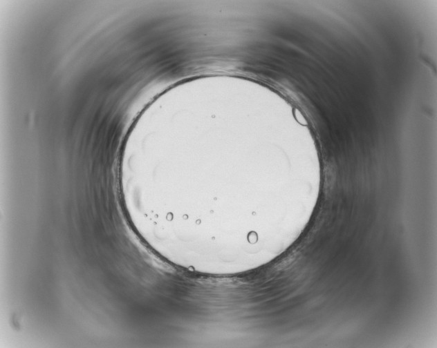 X0000099321432200805301206