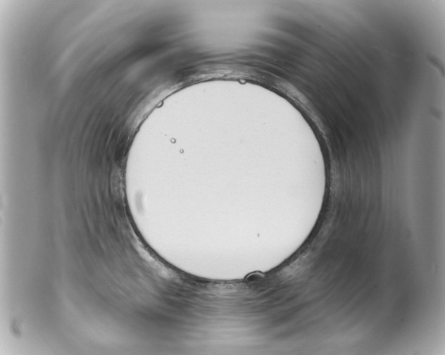 X0000099321433200805301206