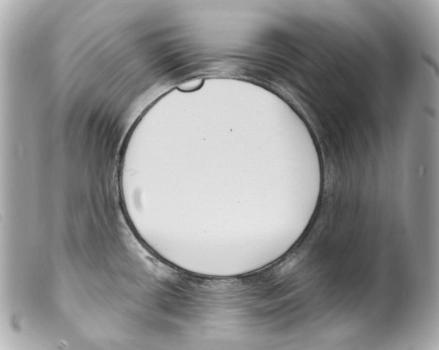 X0000099321434200805301206