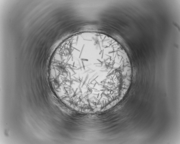 X0000099321435200805301206