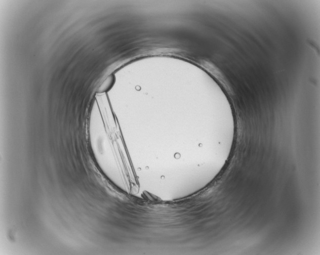 X0000099321436200805301206