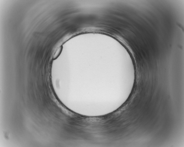 X0000099321437200805301206