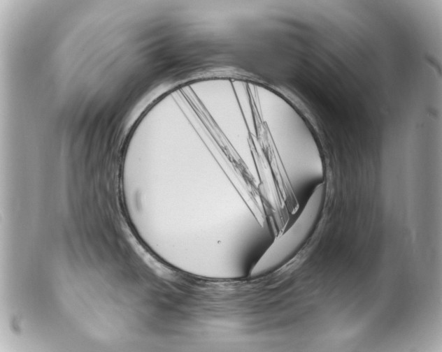 X0000099321438200805301206