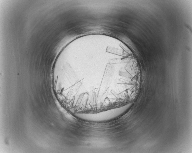 X0000099321439200805301206