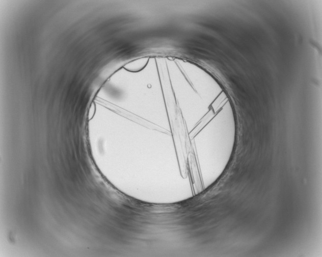 X0000099321440200805301206