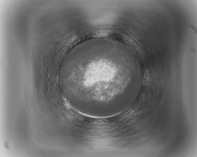 X0000099321441200805301205