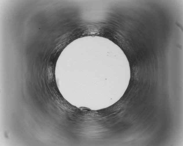 X0000099321442200805301205