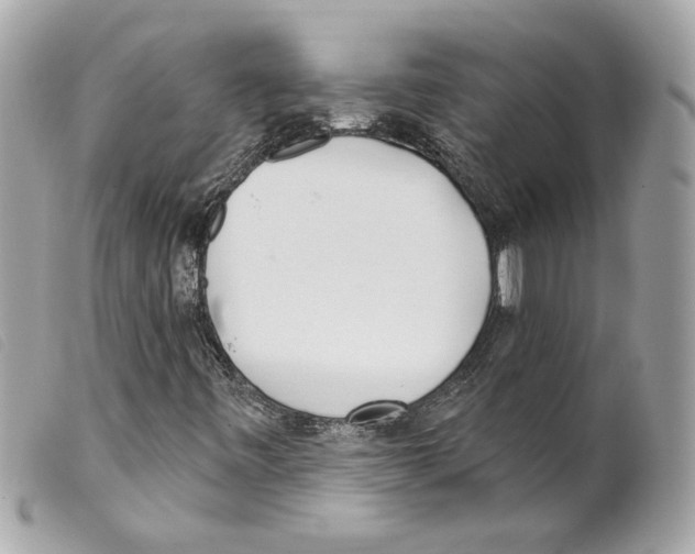 X0000099321443200805301205