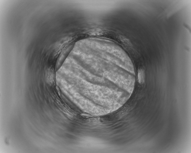 X0000099321444200805301205