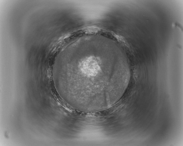 X0000099321445200805301205