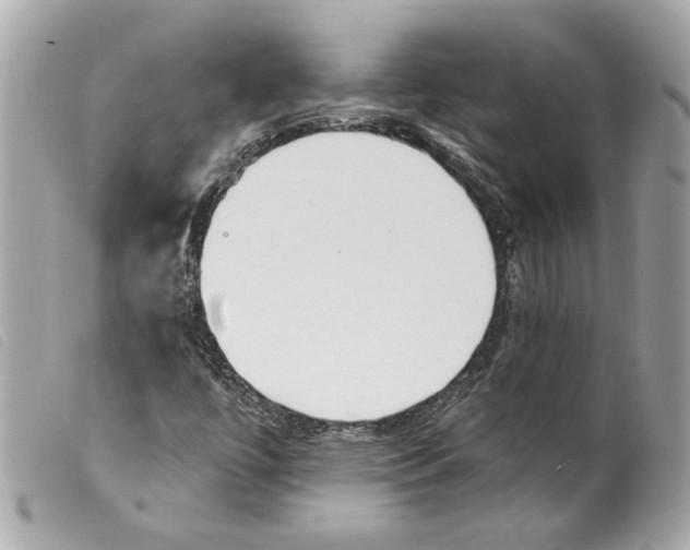 X0000099321447200805301205