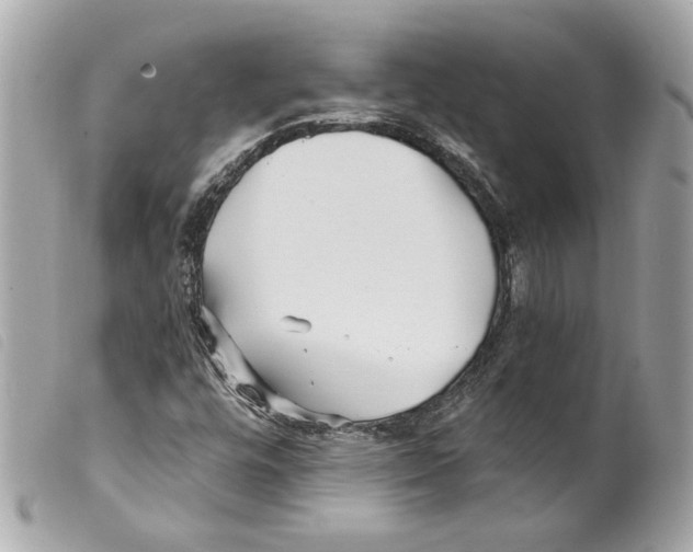 X0000099321448200805301205