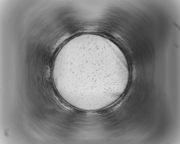 X0000099321449200805301205