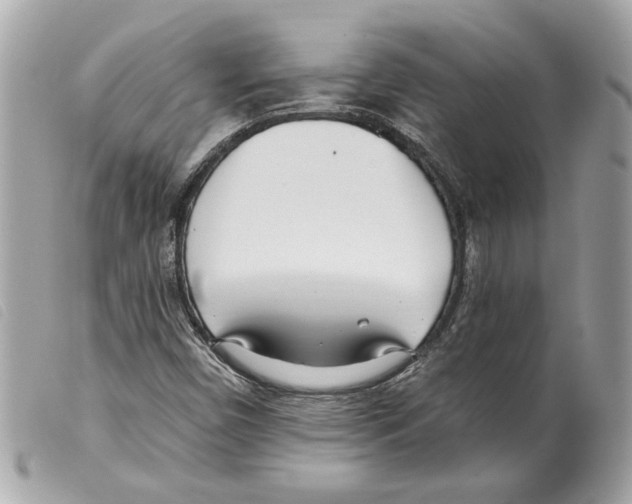 X0000099321450200805301205