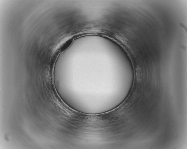 X0000099321452200805301205