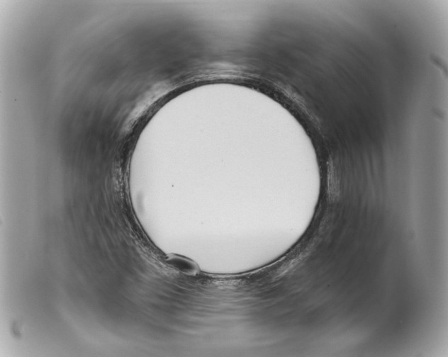 X0000099321453200805301205