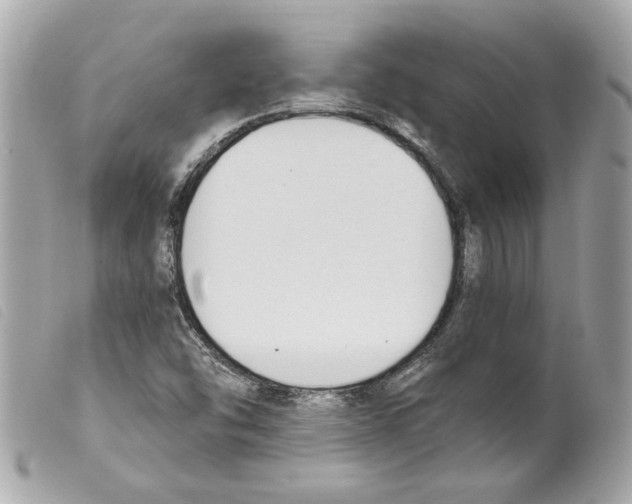 X0000099321454200805301205