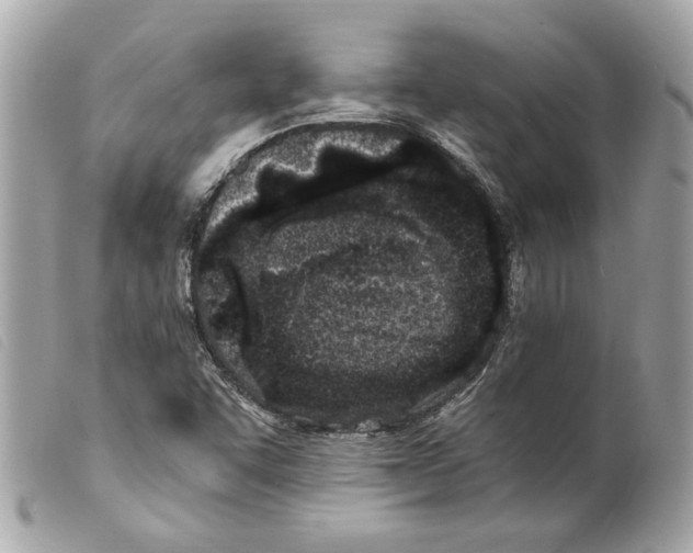 X0000099321455200805301205