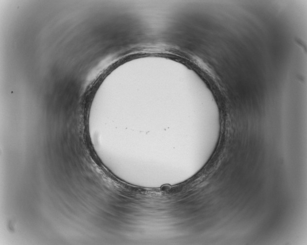 X0000099321456200805301205