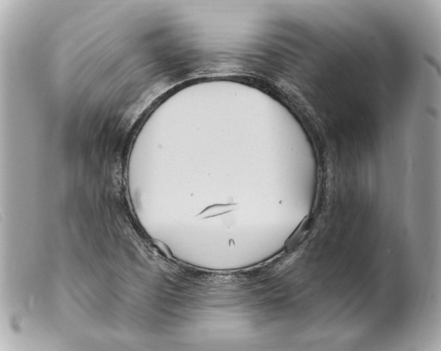 X0000099321457200805301205