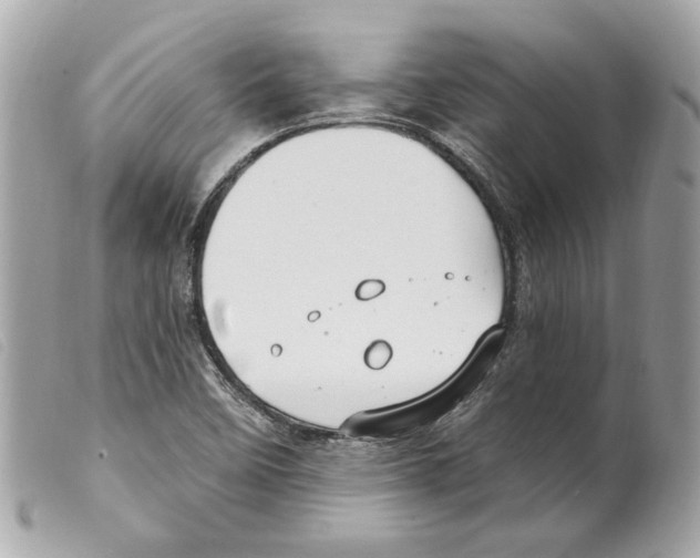 X0000099321458200805301205